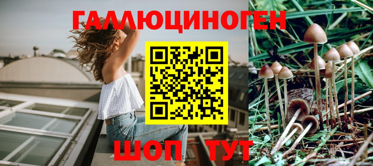 Псилоцибиновые грибы Magic Shrooms Верхняя Салда